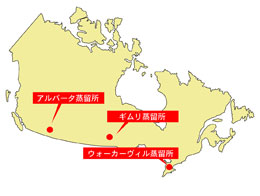 カナディアンウイスキー