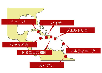価格.comで「ラム酒」を探そう!
