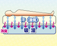 除湿パッド