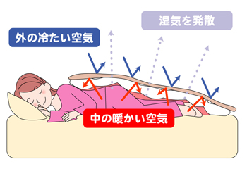 毛布は布団の“上”から?