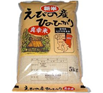 ヒノヒカリ